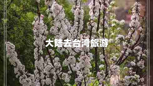 大陸去臺(tái)灣旅游 大陸去臺(tái)灣旅游