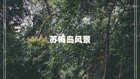 蘇梅島風(fēng)景 蘇梅島風(fēng)景