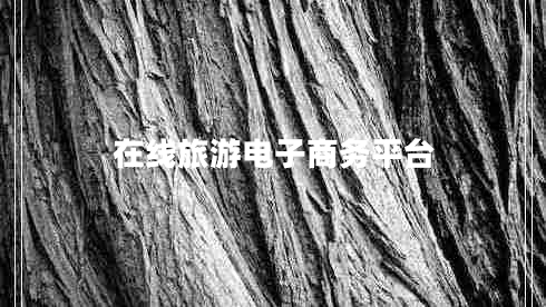 在線旅游電子商務(wù)平臺(tái) 在線旅游電子商務(wù)平臺(tái)