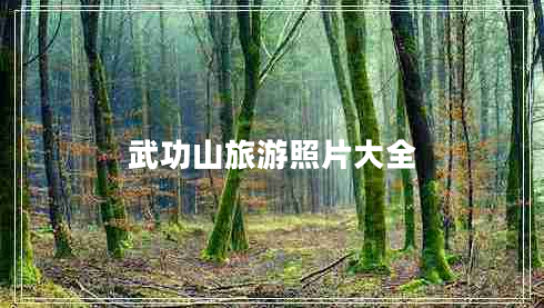 武功山旅游照片大全 武功山旅游照片大全