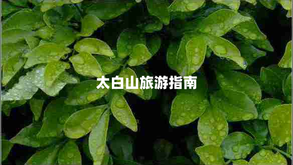 太白山旅游指南 太白山旅游指南