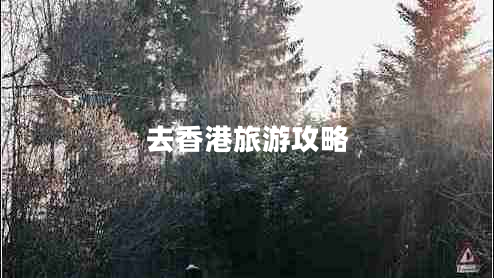 去香港旅游攻略 去香港旅游攻略