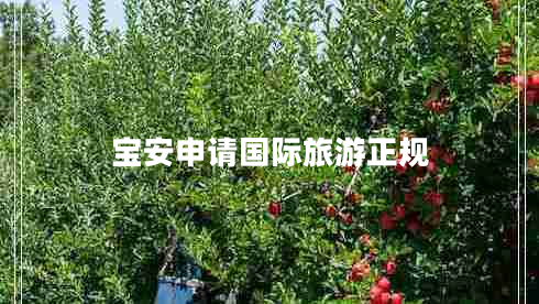 寶安申請國際旅游正規(guī)