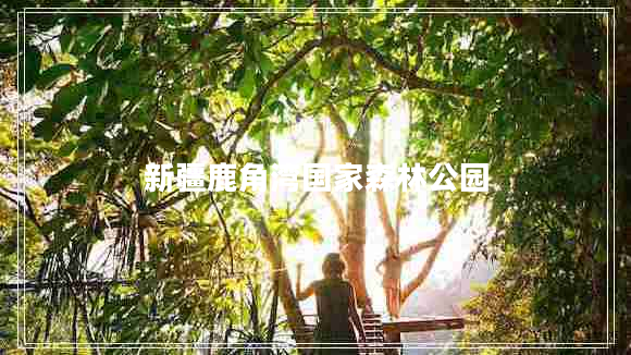 新疆鹿角灣國家森林公園 新疆鹿角灣國家森林公園