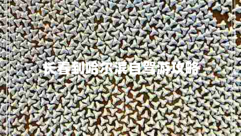 長春到哈爾濱自駕游攻略