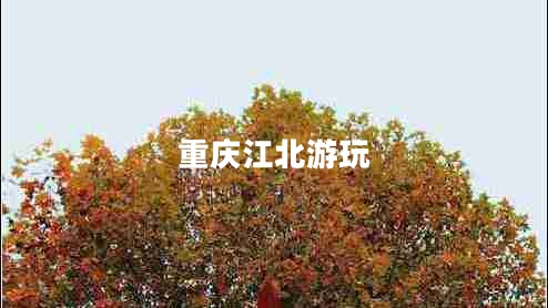 重慶江北游玩