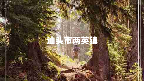 汕頭市兩英鎮(zhèn) 汕頭市兩英鎮(zhèn)