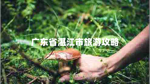 廣東省湛江市旅游攻略 廣東省湛江市旅游攻略