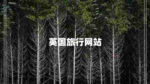英國(guó)旅行網(wǎng)站