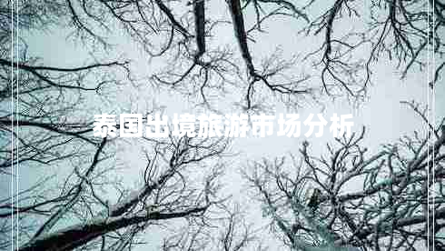 泰國出境旅游市場分析 泰國出境旅游市場分析