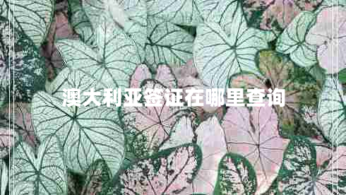 澳大利亞簽證在哪里查詢 澳大利亞簽證在哪里查詢