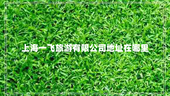 上海一飛旅游有限公司地址在哪里 上海一飛旅游有限公司地址在哪里