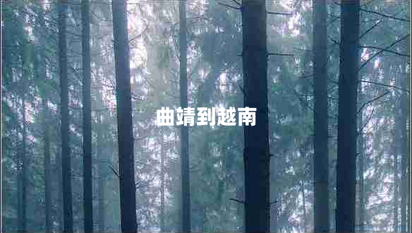 曲靖到越南 曲靖到越南