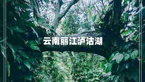 云南麗江瀘沽湖 云南麗江瀘沽湖