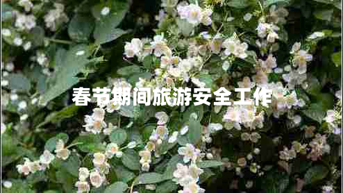 春節(jié)期間旅游安全工作