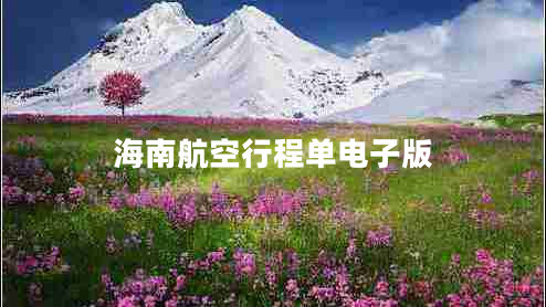 海南航空行程單電子版