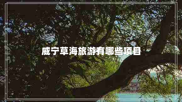 威寧草海旅游有哪些項(xiàng)目 威寧草海旅游有哪些項(xiàng)目