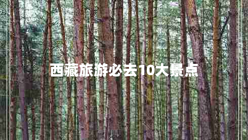 西藏旅游必去10大景點(diǎn) 西藏旅游必去10大景點(diǎn)