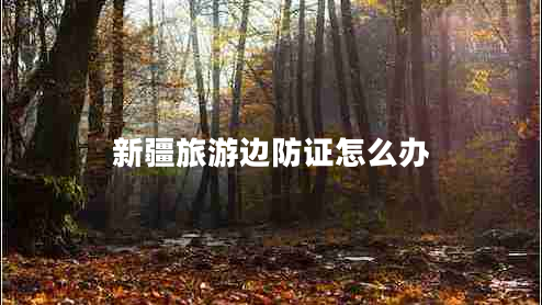 新疆旅游邊防證怎么辦 新疆旅游邊防證怎么辦