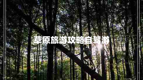 草原旅游攻略自駕游 草原旅游攻略自駕游