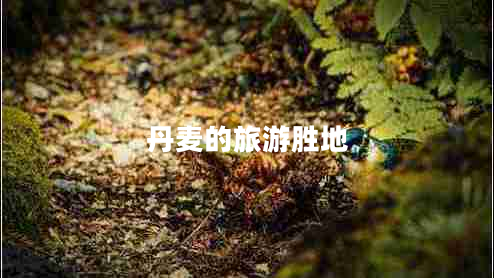 丹麥的旅游勝地