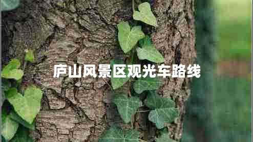 廬山風景區(qū)觀光車路線