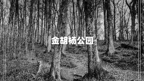 金胡楊公園
