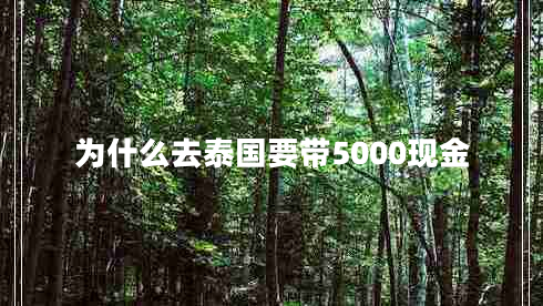 為什么去泰國要帶5000現(xiàn)金