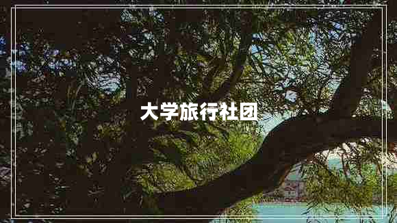 大學旅行社團 大學旅行社團