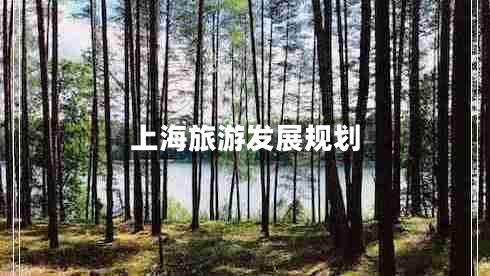 上海旅游發(fā)展規(guī)劃 上海旅游發(fā)展規(guī)劃