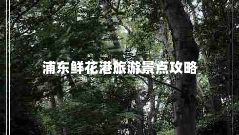 浦東鮮花港旅游景點攻略