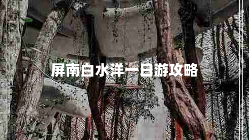 屏南白水洋一日游攻略 屏南白水洋一日游攻略