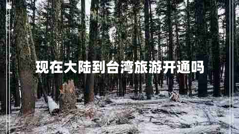 現(xiàn)在大陸到臺灣旅游開通嗎