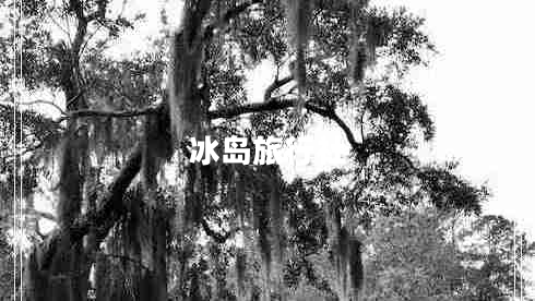 冰島旅行社 冰島旅行社