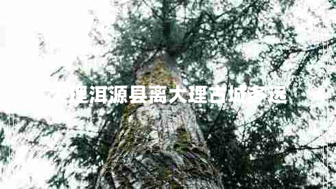 大理洱源縣離大理古城多遠 大理洱源縣離大理古城多遠