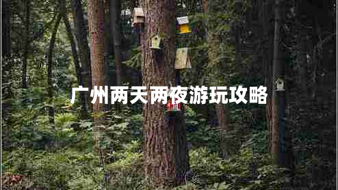廣州兩天兩夜游玩攻略 廣州兩天兩夜游玩攻略