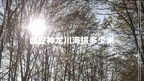 臨安神龍川海拔多少米 臨安神龍川海拔多少米