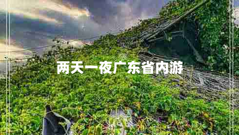 兩天一夜廣東省內(nèi)游 兩天一夜廣東省內(nèi)游