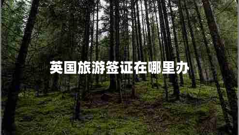 英國(guó)旅游簽證在哪里辦