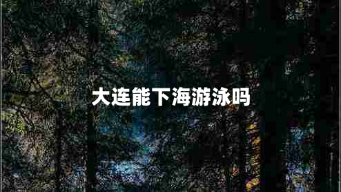 大連能下海游泳嗎 大連能下海游泳嗎