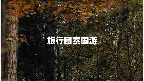 旅行團(tuán)泰國(guó)游 旅行團(tuán)泰國(guó)游