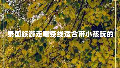 泰國(guó)旅游走哪條線適合帶小孩玩的 泰國(guó)旅游走哪條線適合帶小孩玩的