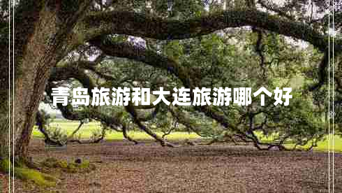 青島旅游和大連旅游哪個好 青島旅游和大連旅游哪個好