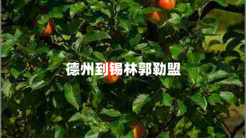 德州到錫林郭勒盟 德州到錫林郭勒盟