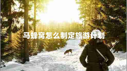 馬蜂窩怎么制定旅游計劃