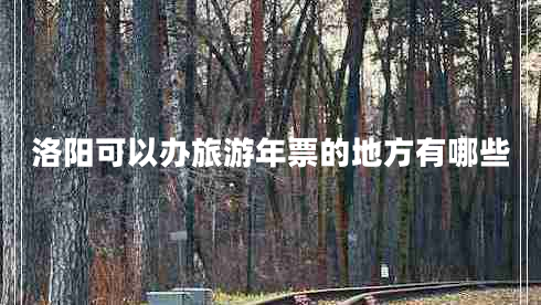 洛陽可以辦旅游年票的地方有哪些