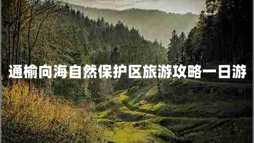 通榆向海自然保護(hù)區(qū)旅游攻略一日游