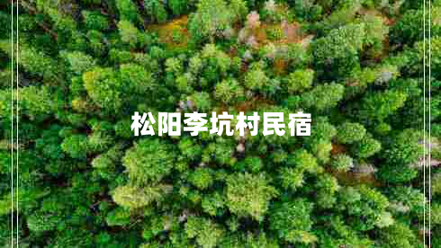 松陽李坑村民宿
