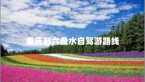 重慶到六盤水自駕游路線