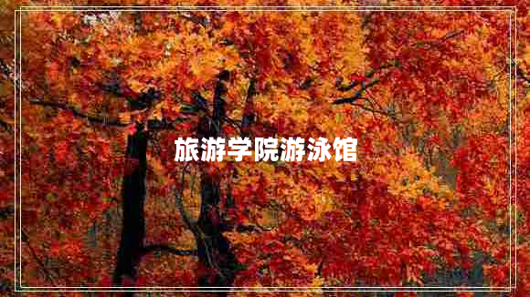 旅游學(xué)院游泳館 旅游學(xué)院游泳館